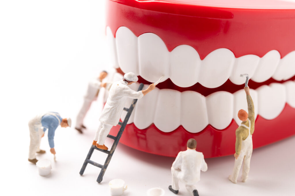 Denture Repair Tampa